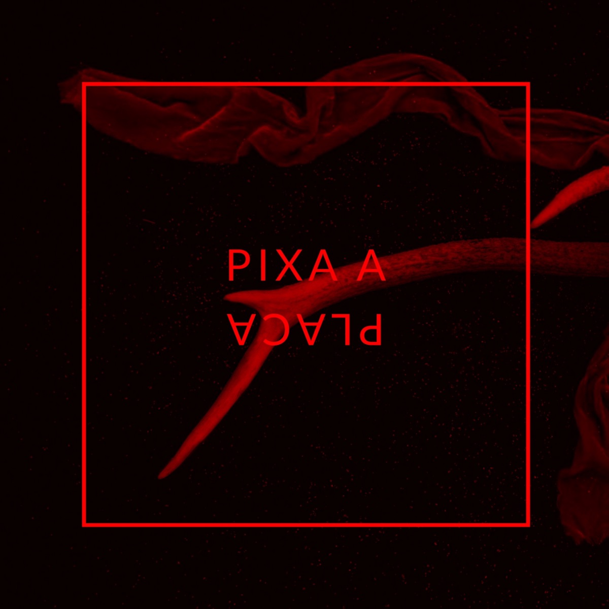 Pixa a Placa - Single by Made in Chapada, Pato Roco, Markes Wachuma & Thiozzi album cover