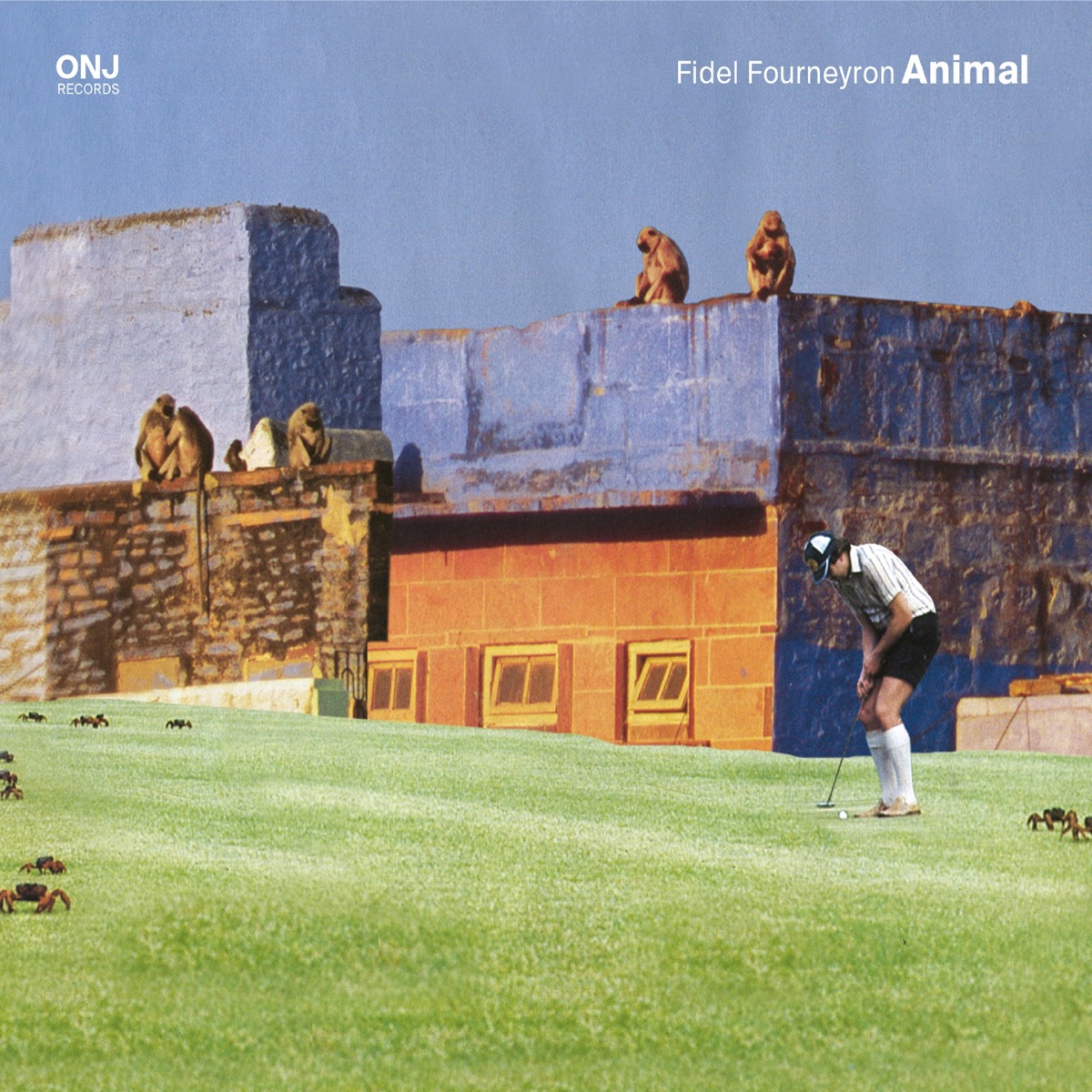 Animal (feat. Joachim Florent & Sylvain Darrifourcq) by Fidel Fourneyron album cover