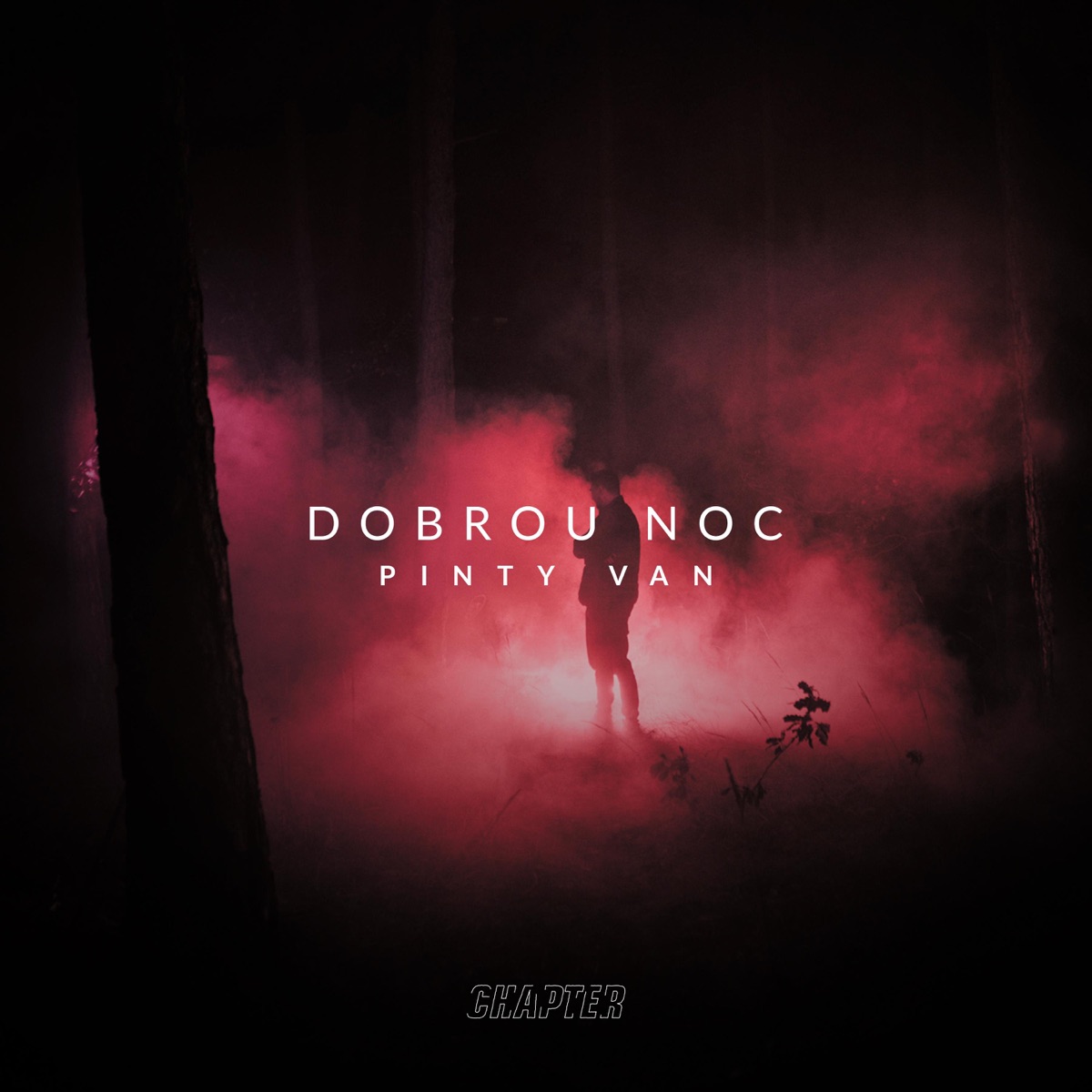 Dobrou noc - Single by Pinty Van album cover