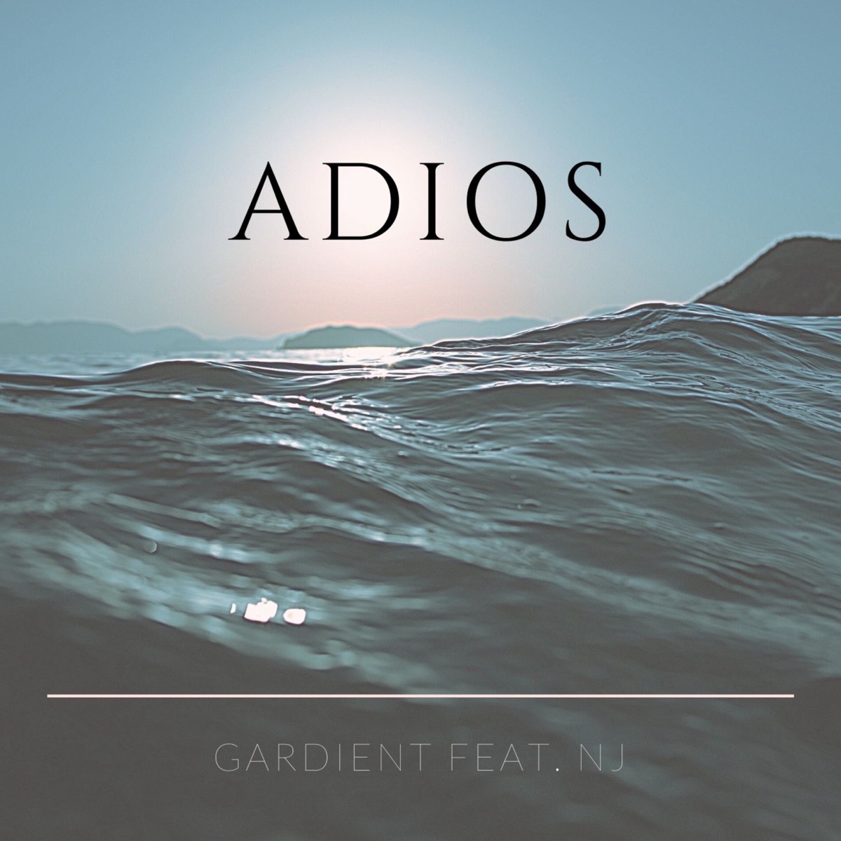 Adiós (feat. Nj) - Single by Gardient album cover