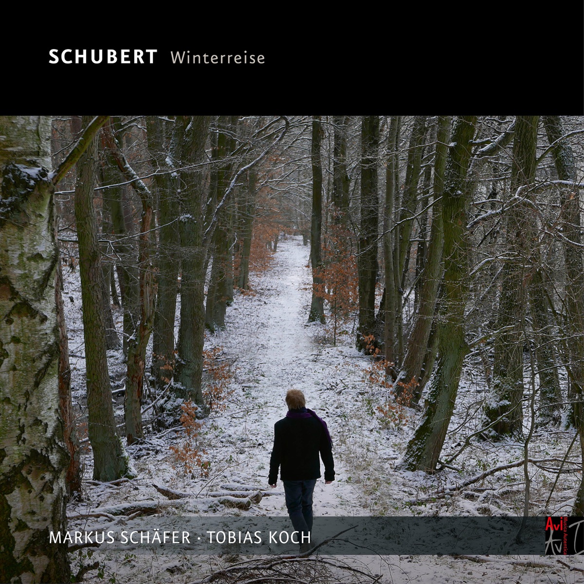 Schubert: Winterreise by Markus Schäfer & Tobias Koch album cover