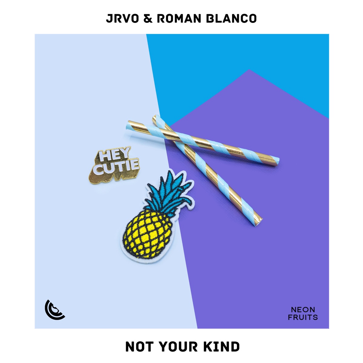Not Your Kind - Single by JRVO & Roman Blanco album cover