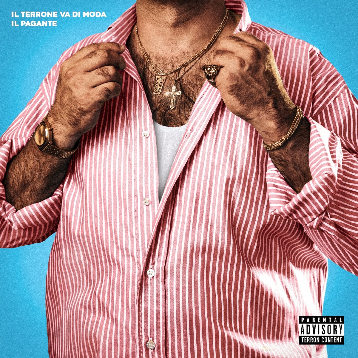 Il Terrone Va Di Moda - Single by Il Pagante album cover