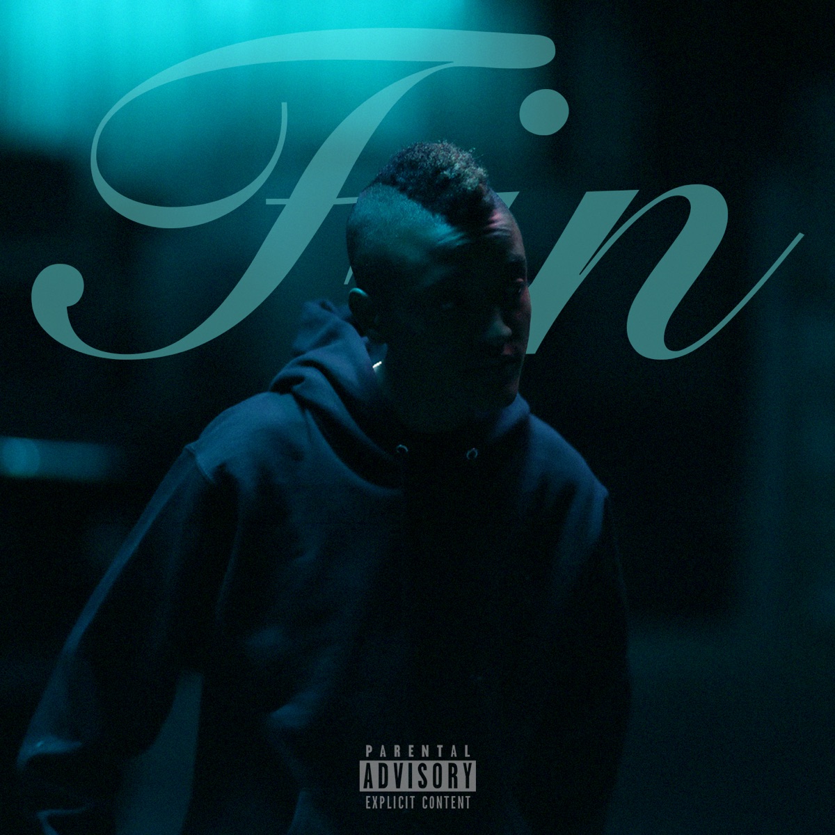 Fin by Syd album cover
