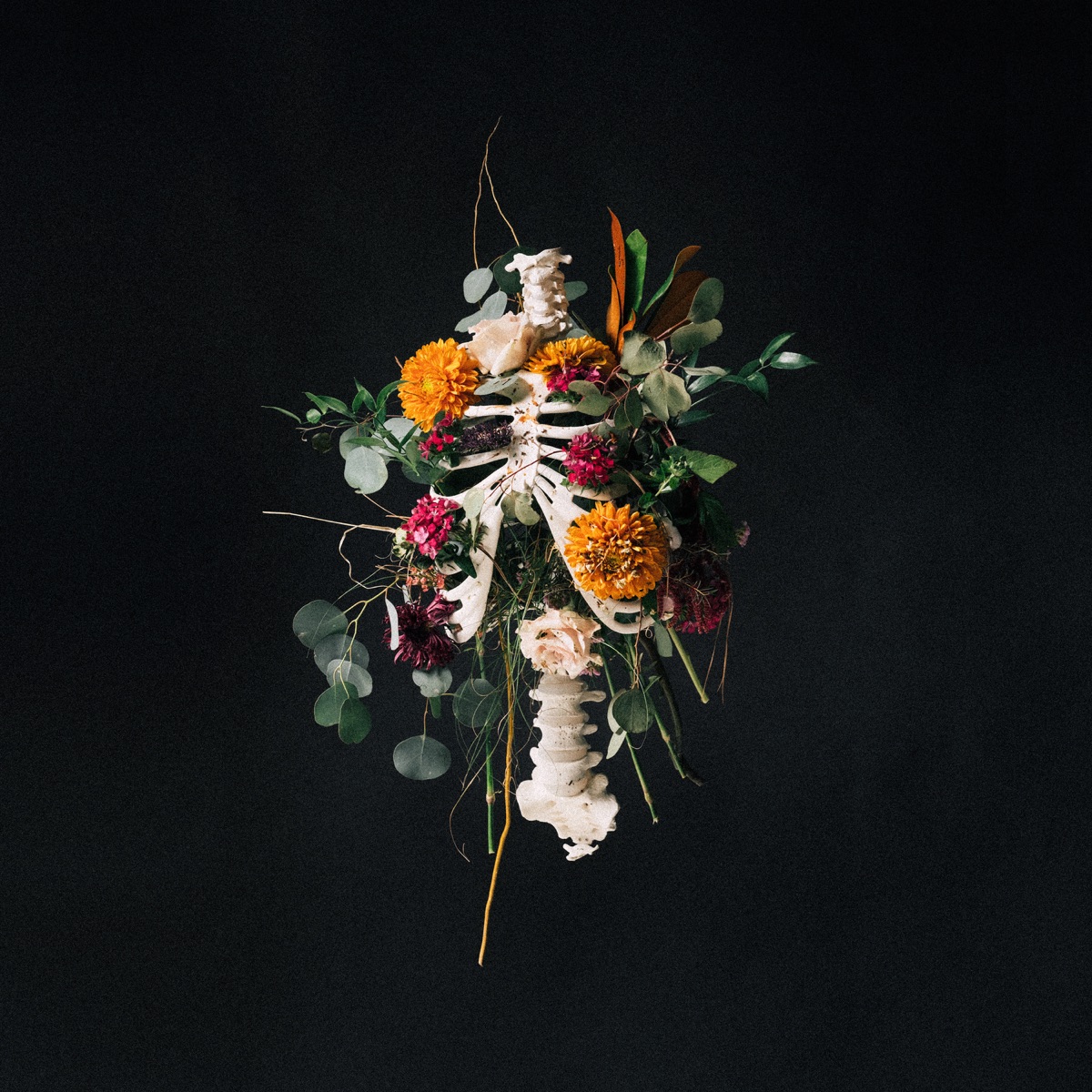 Graves into Gardens (Live) by Elevation Worship album cover artwork