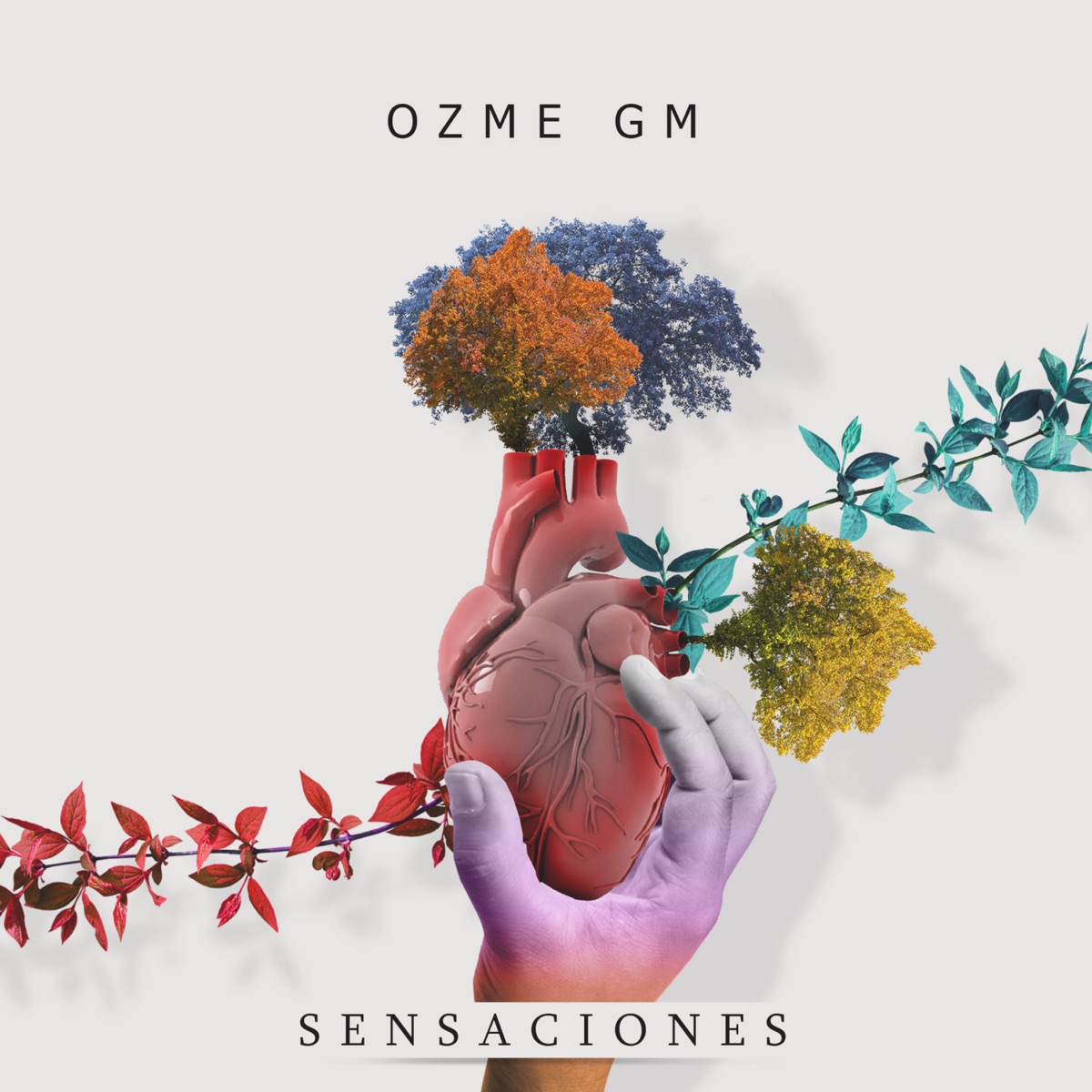 Sensaciones by Ozme GM album cover
