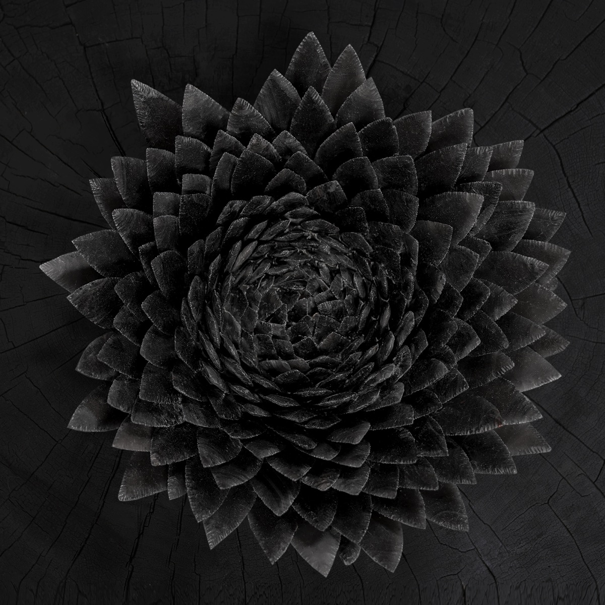 Obsidian by Jónsi album cover