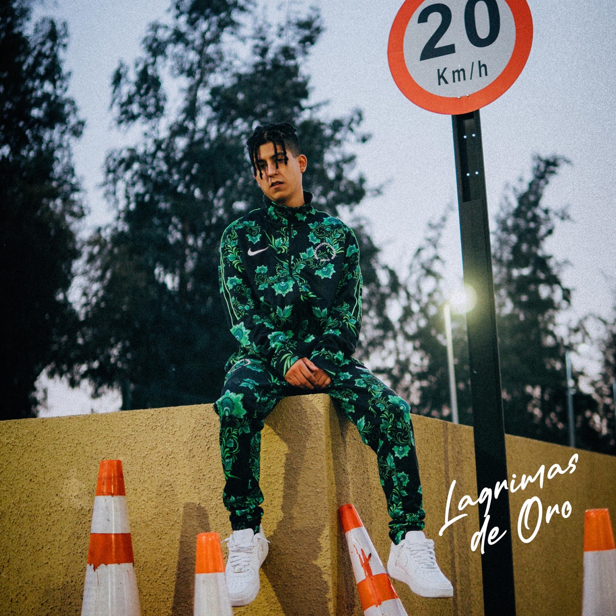 Lágrimas de oro - Single by Youngboi Totty album cover