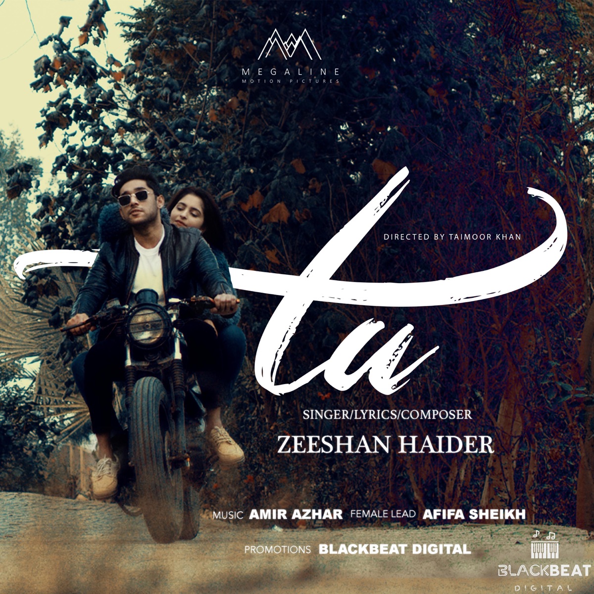 Tu - Single by Zeeshan Haider album cover