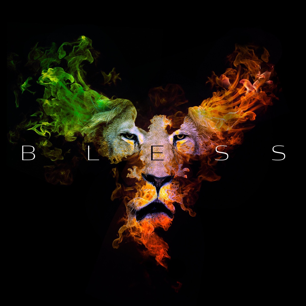 N.E.G.U. (Now Everybody Get Up) - Single by Anthony Bless album cover