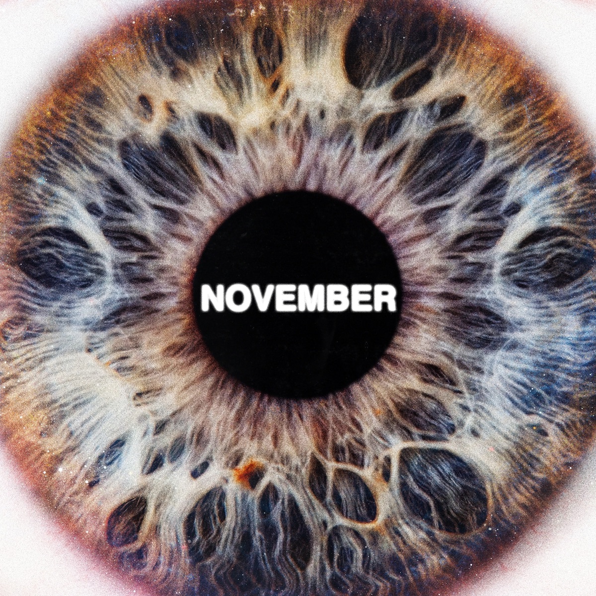 November by SiR album cover