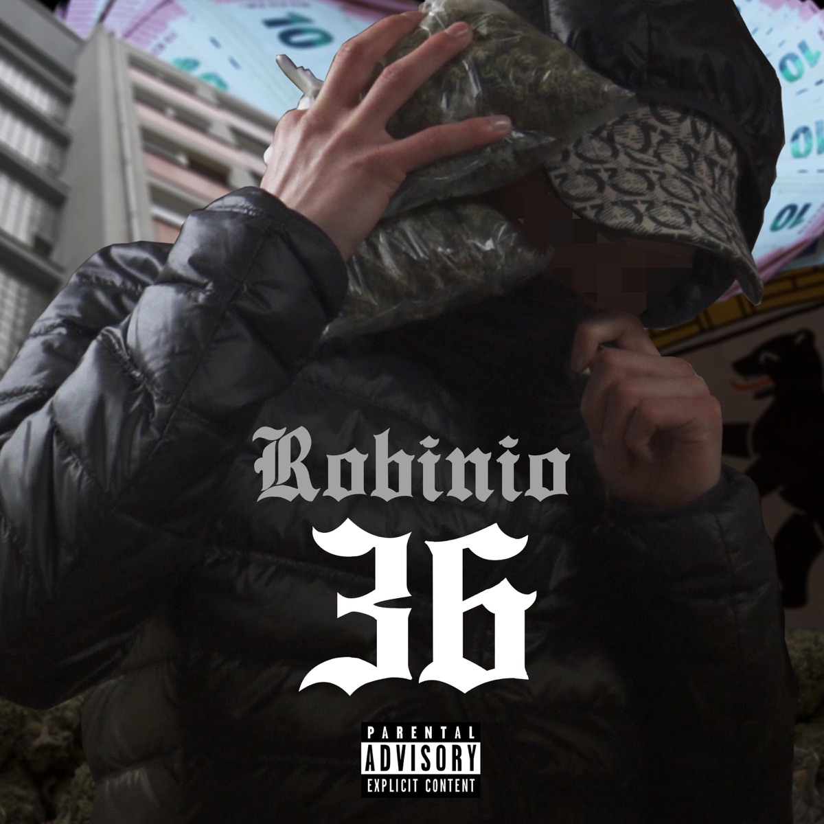 36 - Single by RobinIO album cover