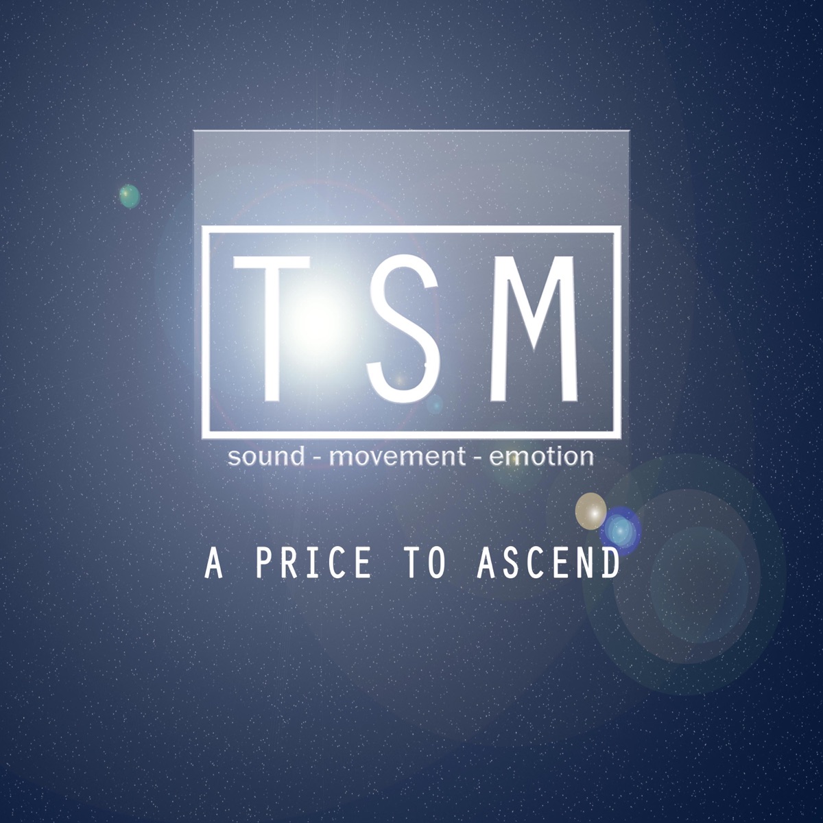 A Price To Ascend - Single by TSM album cover