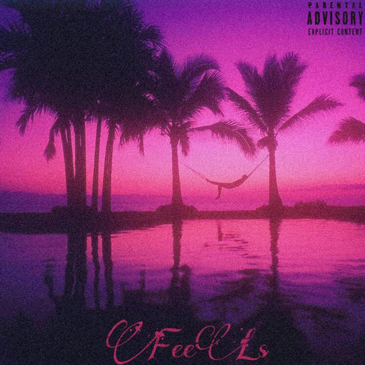 Feels - Single by ThatBoyCleo album cover