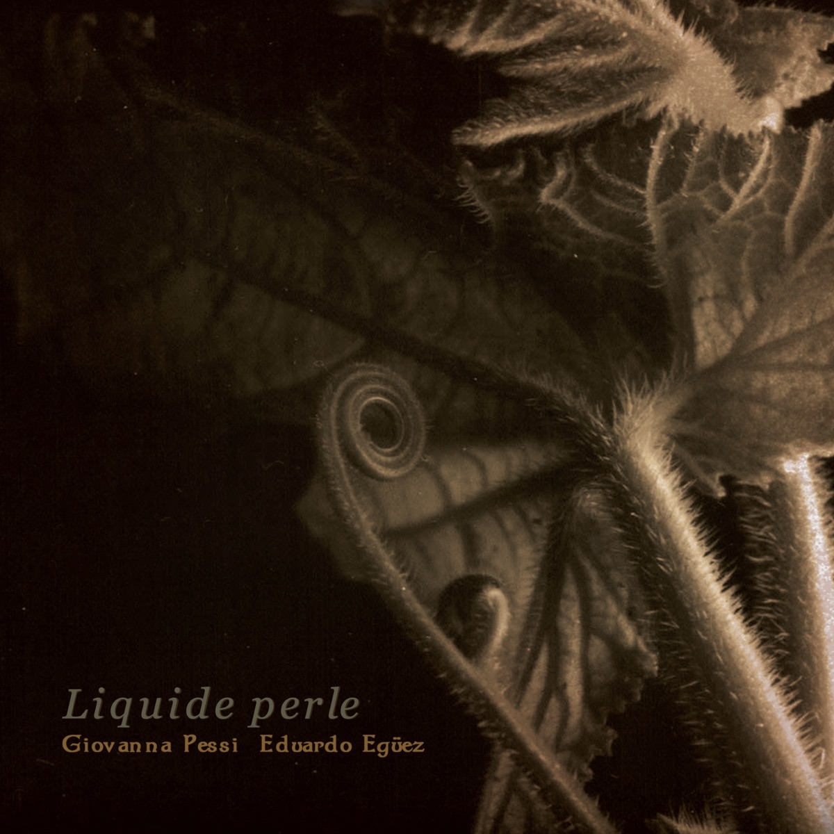 Liquide perle by Giovanna Pessi & Eduardo Egüez album cover
