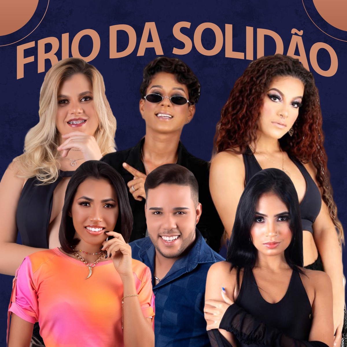 Frio da Solidão - Single by Bateu a Química & Banda Vida Loka album cover