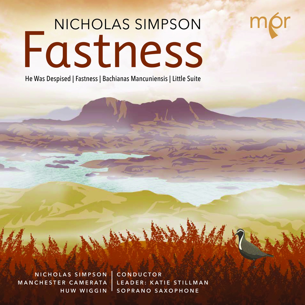 Nicholas Simpson: Fastness by Huw Wiggin, Manchester Camerata & Nicholas Simpson album cover