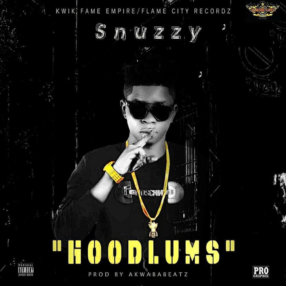 Hoodlums - Single by Snuzzy album cover