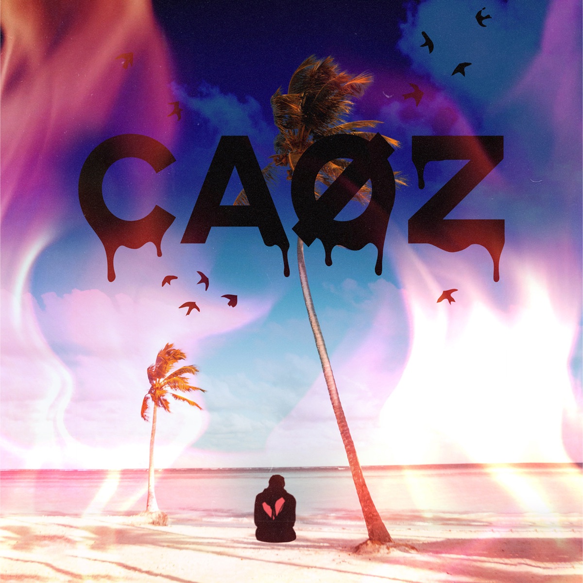Caøz - Single by Feroz album cover