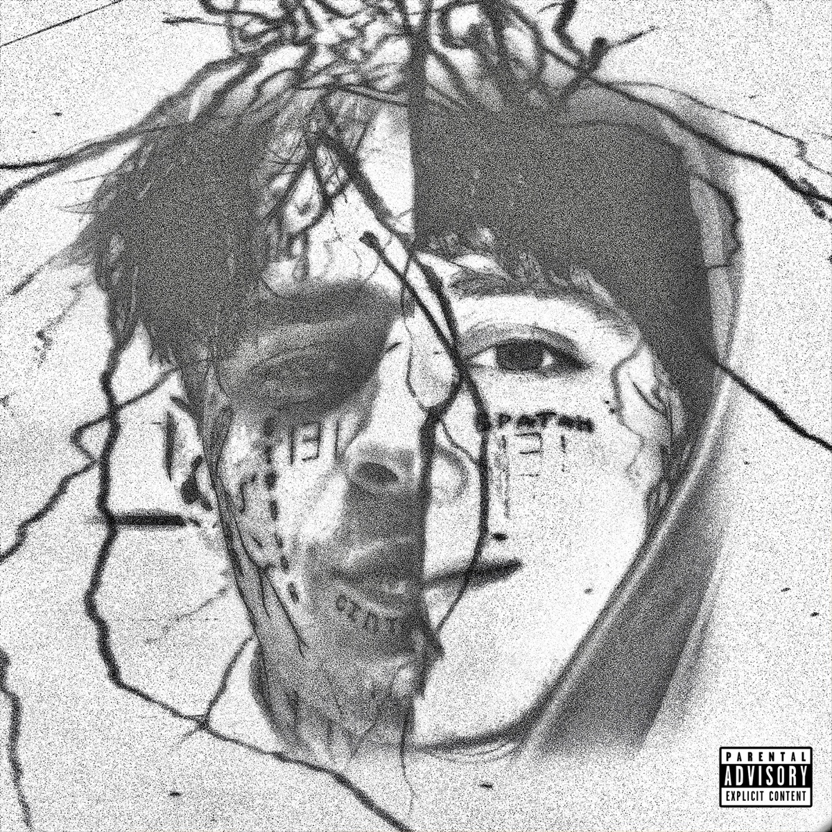 Nemám křídla - Single by Sensey & Vercetti CG album cover