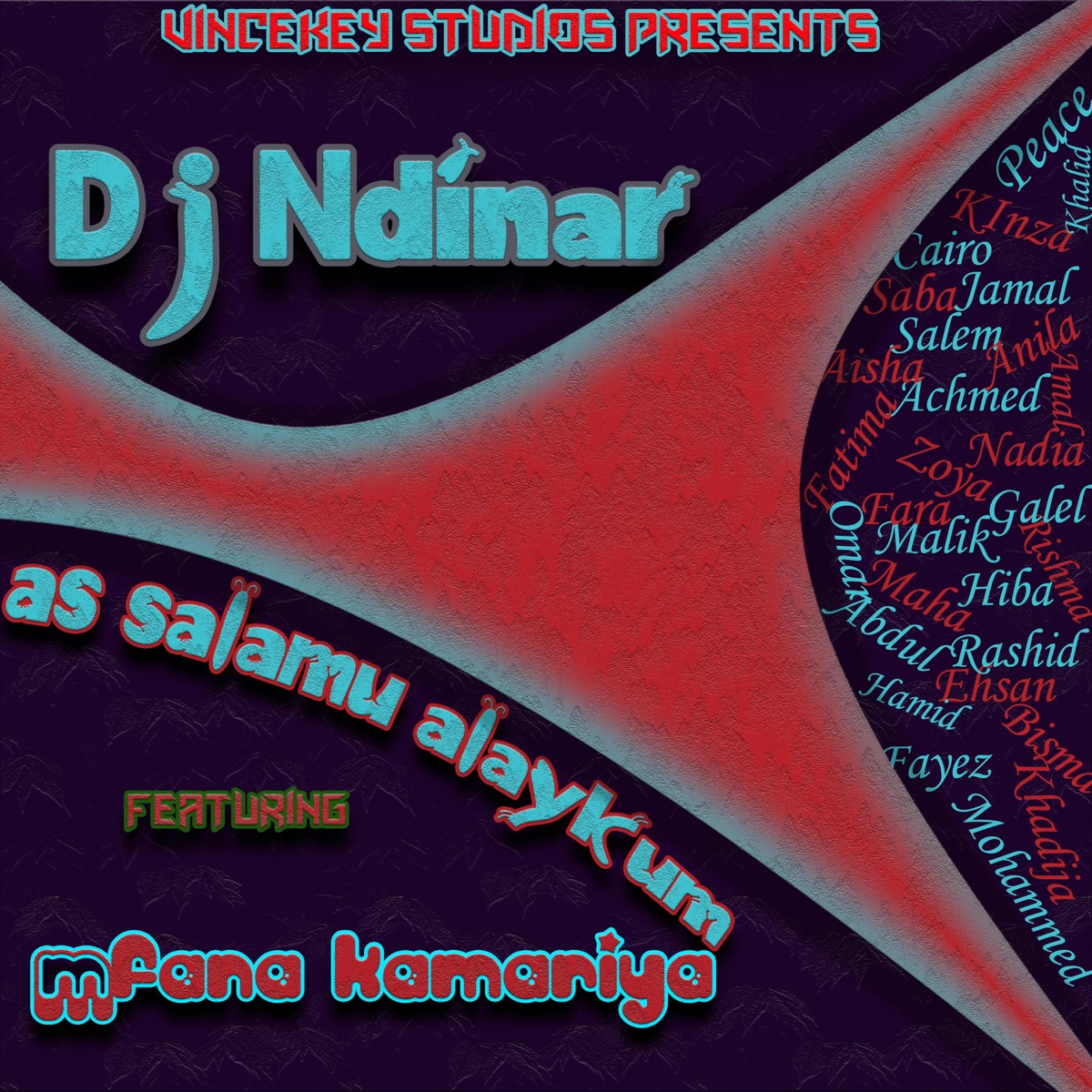 Salim Salim - Single by Dj Ndinar album cover