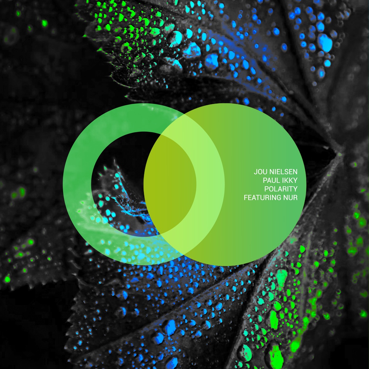 Polarity - Single by Jou Nielsen & Paul Ikky album cover