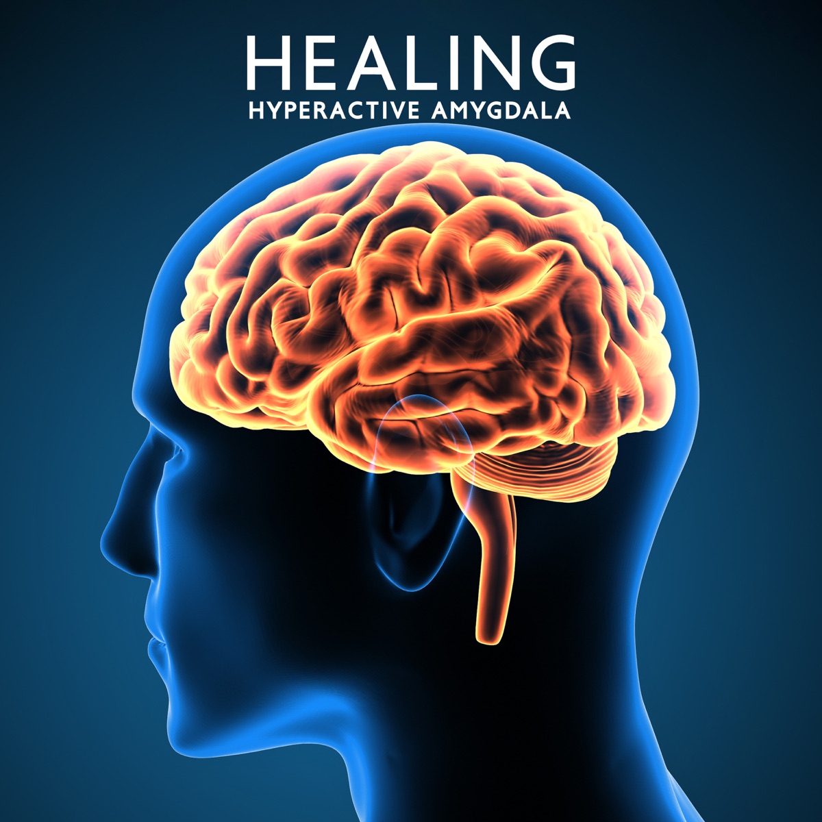 Healing Hyperactive Amygdala: Cure Anxiety Panic Attacks, Nerve Regeneration (Brain Wave Therapy Music) by Hz Frequency Zone, Stress Relief Calm Oasis & Calm Music Zone album cover