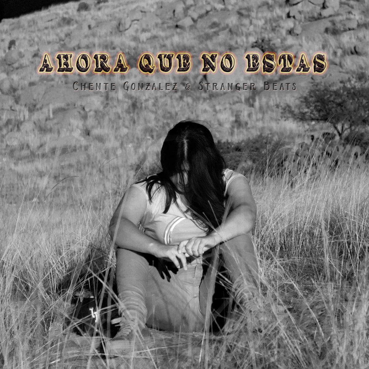 Ahora Que No Estas (2023 Remastered Version) - Single by Chente González & Stranger Beats album cover