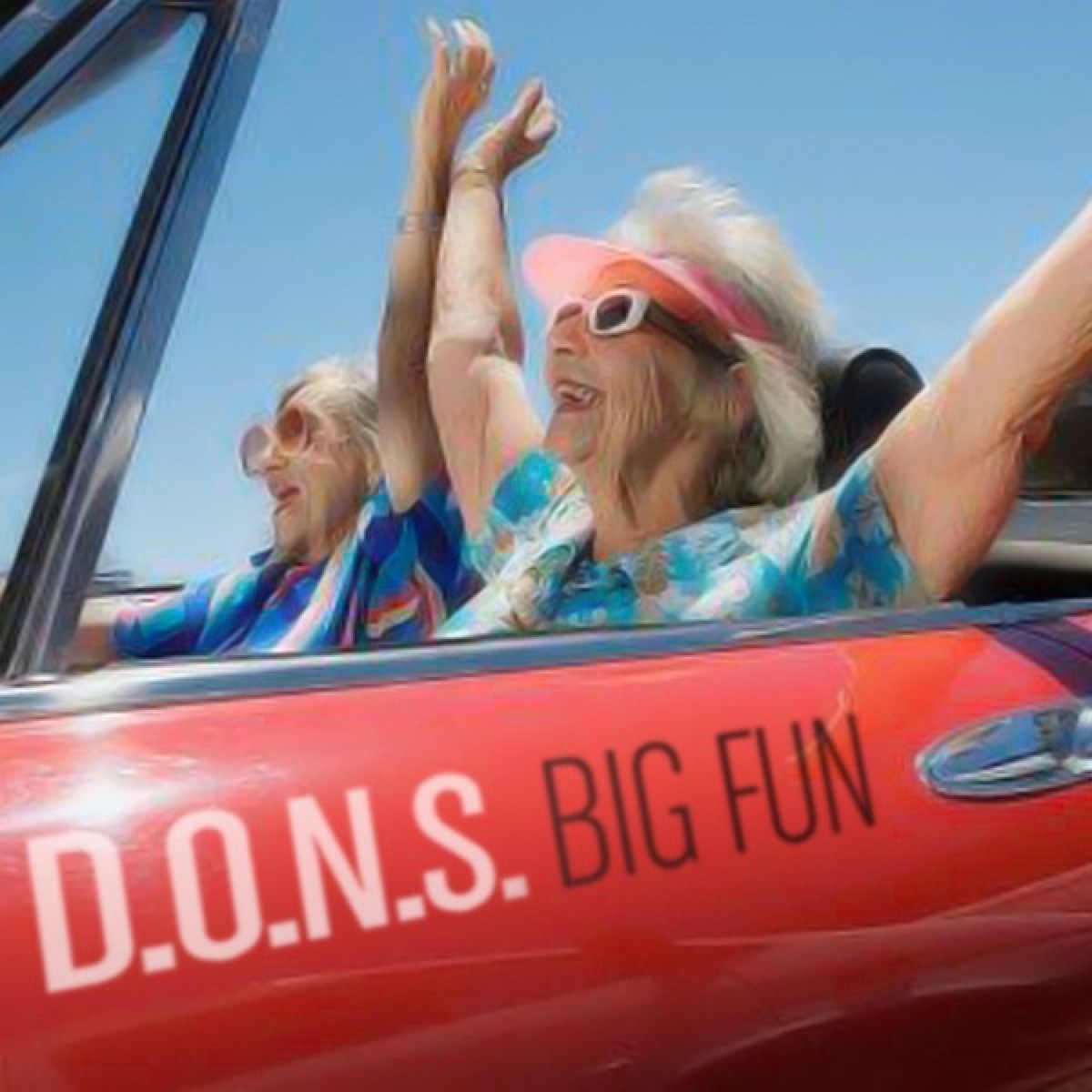 Big Fun (Remixes) - Single by D.O.N.S. album cover