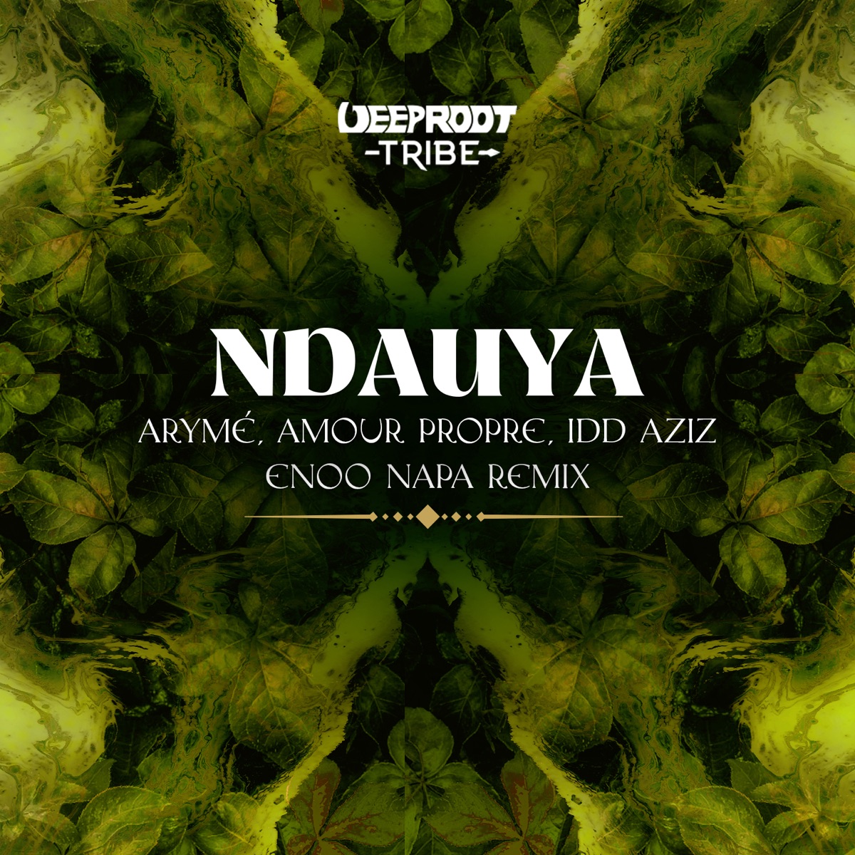Ndauya - Single by ARYMÉ, Amour Propre & Idd Aziz album cover