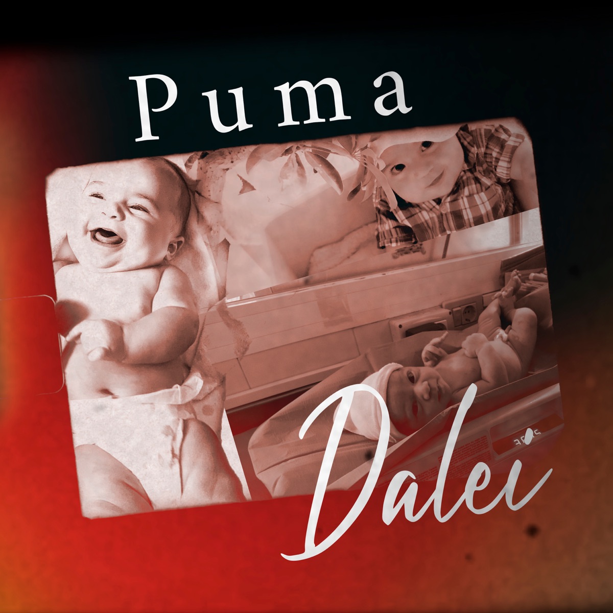 Puma (feat. Paulo) - Single by Puma album cover