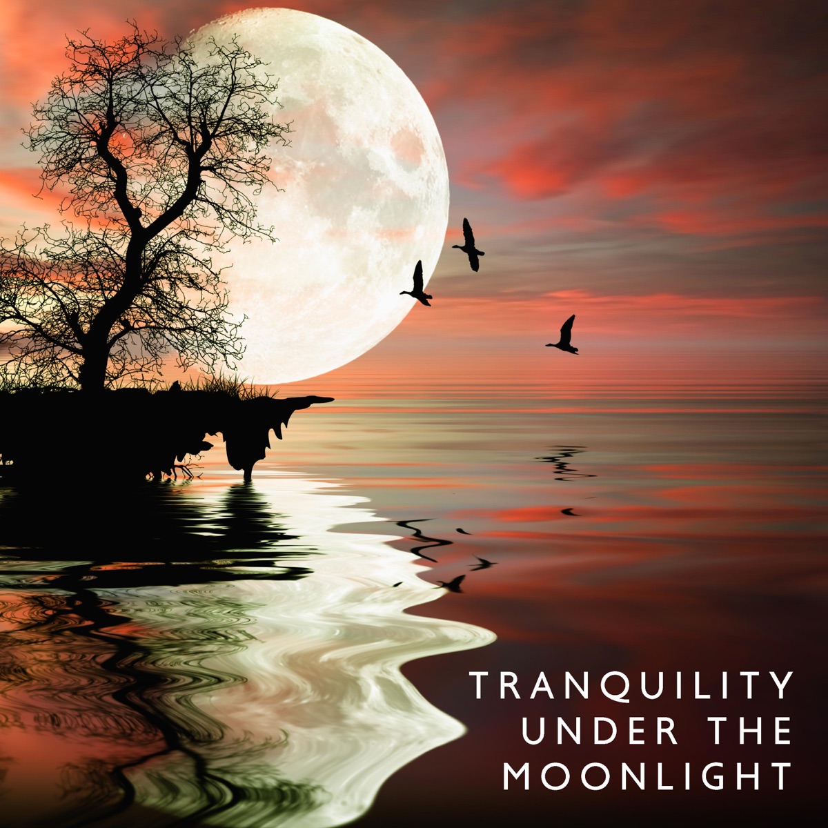 Tranquility Under the Moonlight: Soothing Piano Solos for Peaceful Nights by Janet Sleepy & Sleep & Dream Music Academy album cover