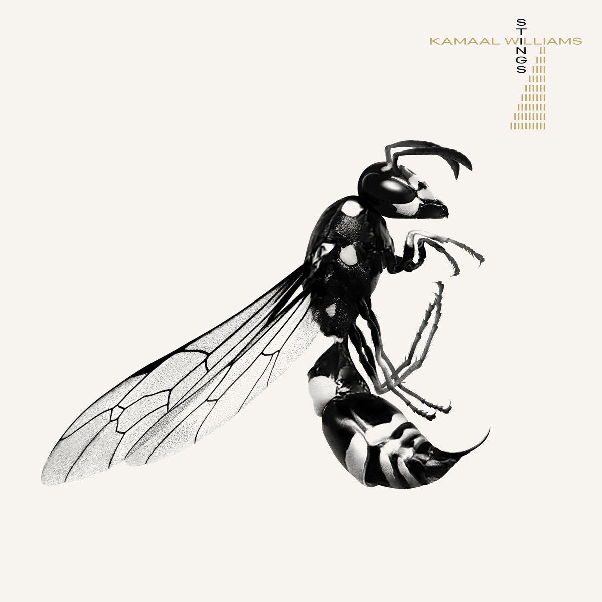 Stings by Kamaal Williams album cover