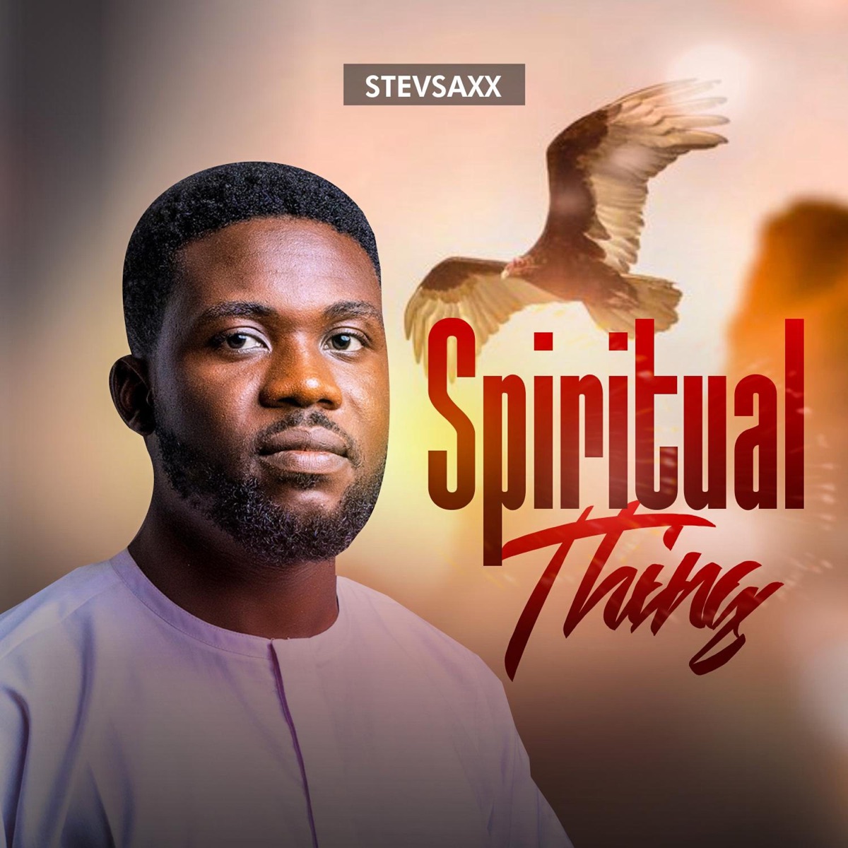 Spiritual Things - Single by Stevsaxx album cover