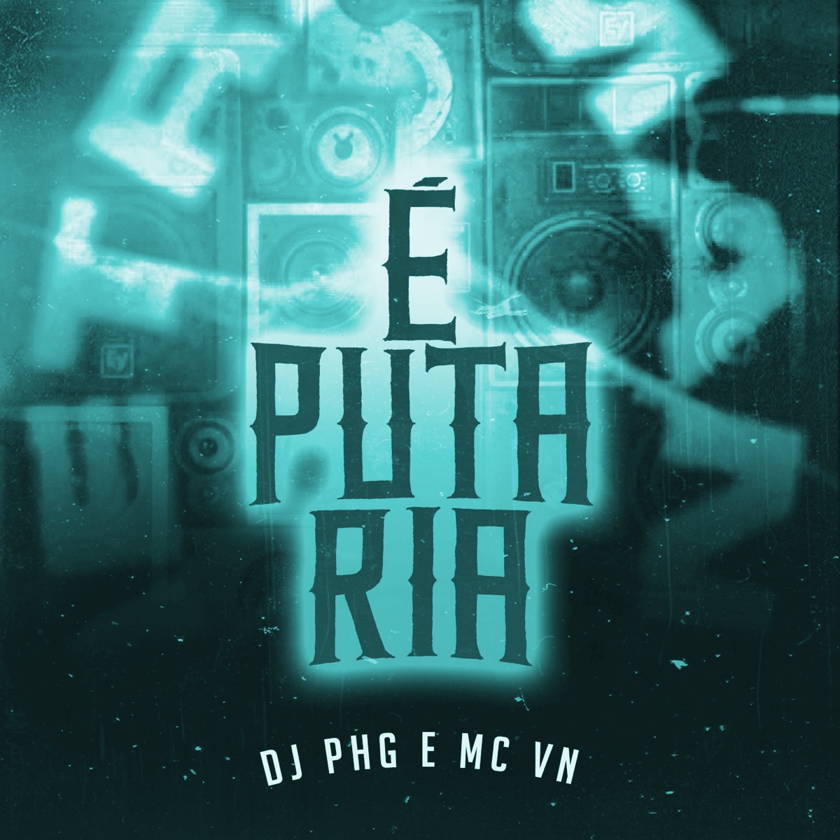 É Putaria (Remix) - Single by DJ PHG & MC VN RJ album cover