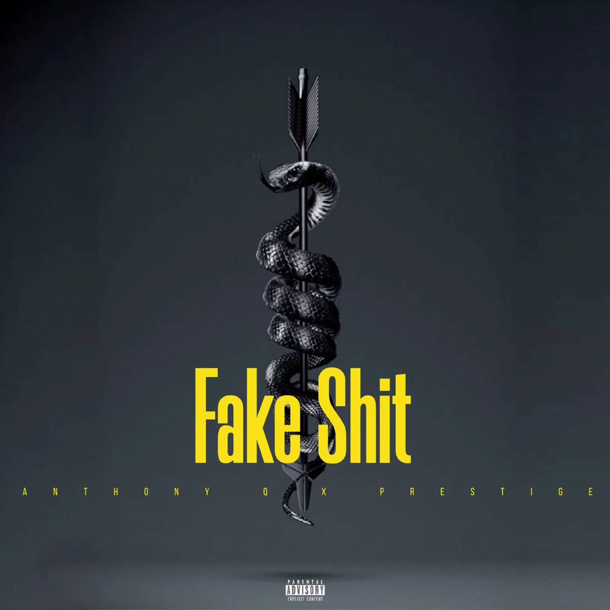Fake Shit (feat. Prestige) - Single by Anthony Q. album cover