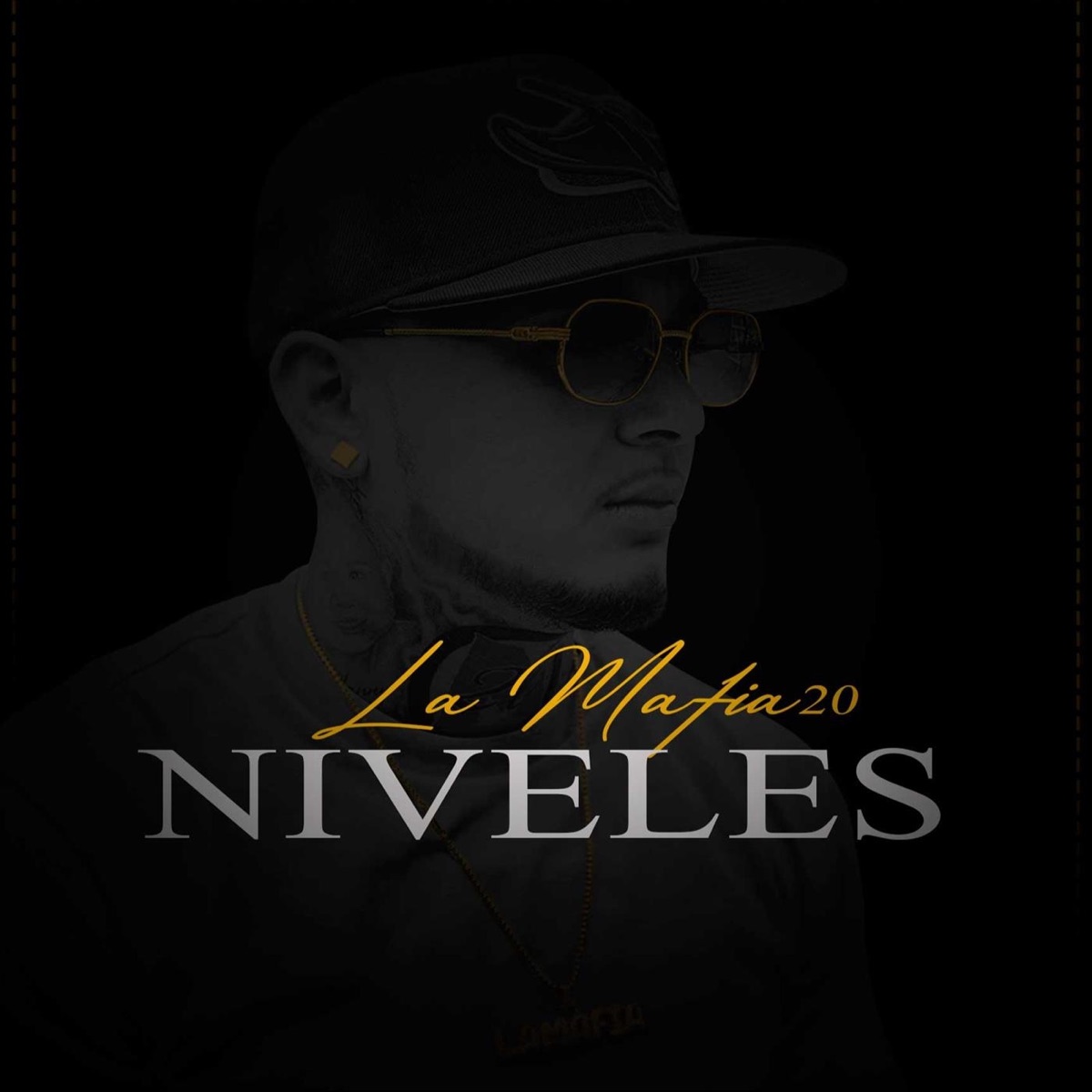 Niveles - Single by La Mafia20 album cover