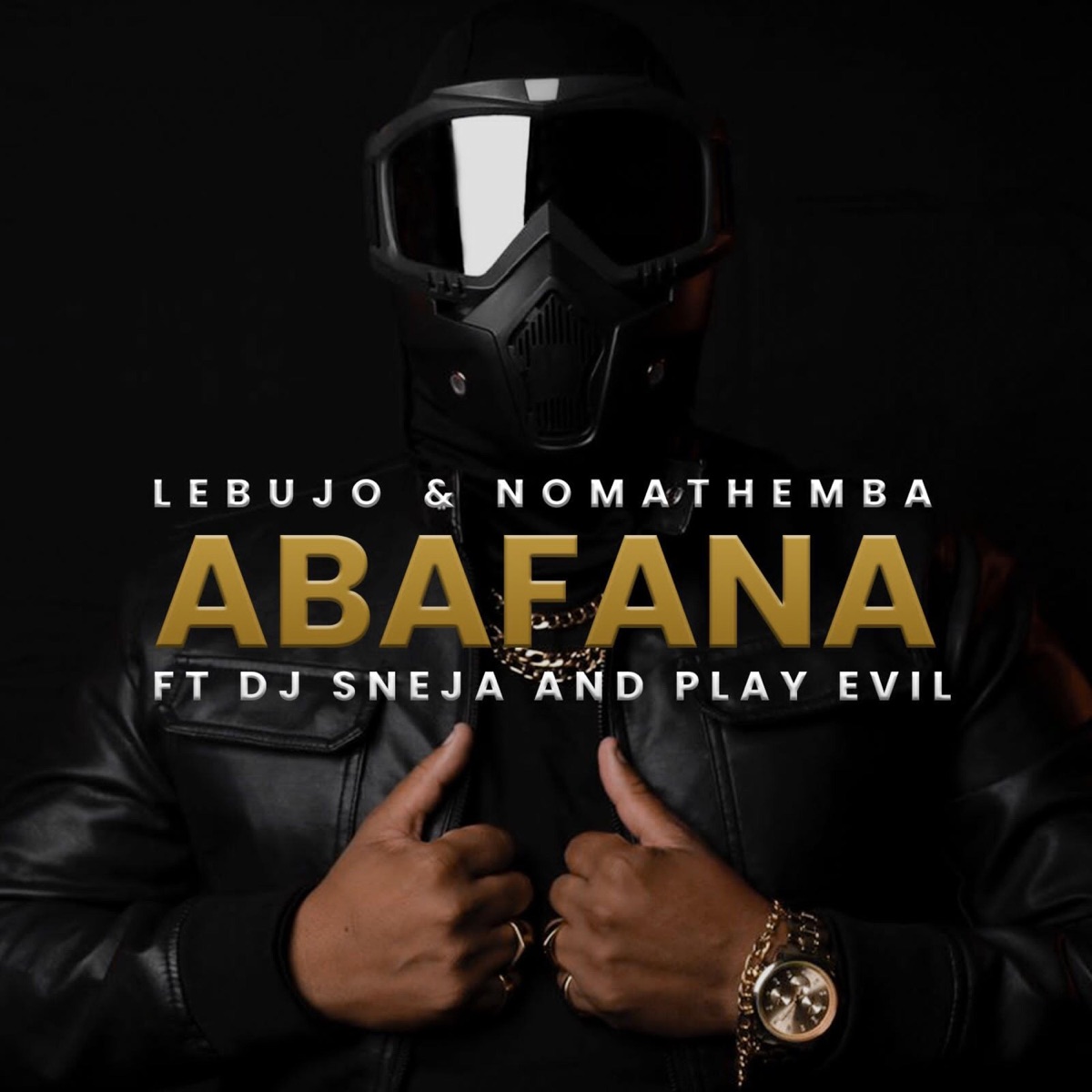 Abafana (feat. Nomathemba, Dj Sneja & Playnevig) - Single by Lebujo DJ album cover