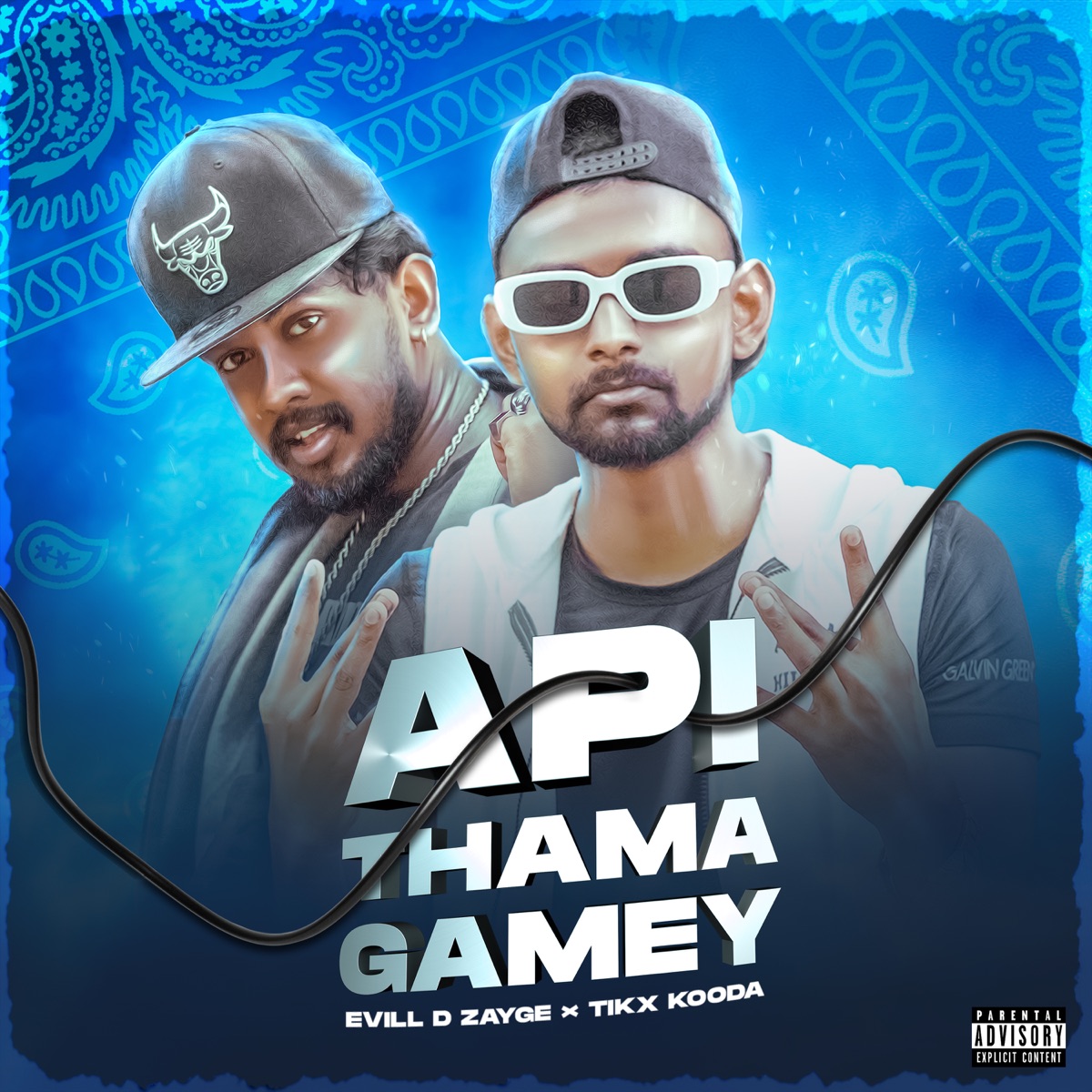 Api Thama Gamey - Single by Evill D Zayge & Tikx Kooda album cover