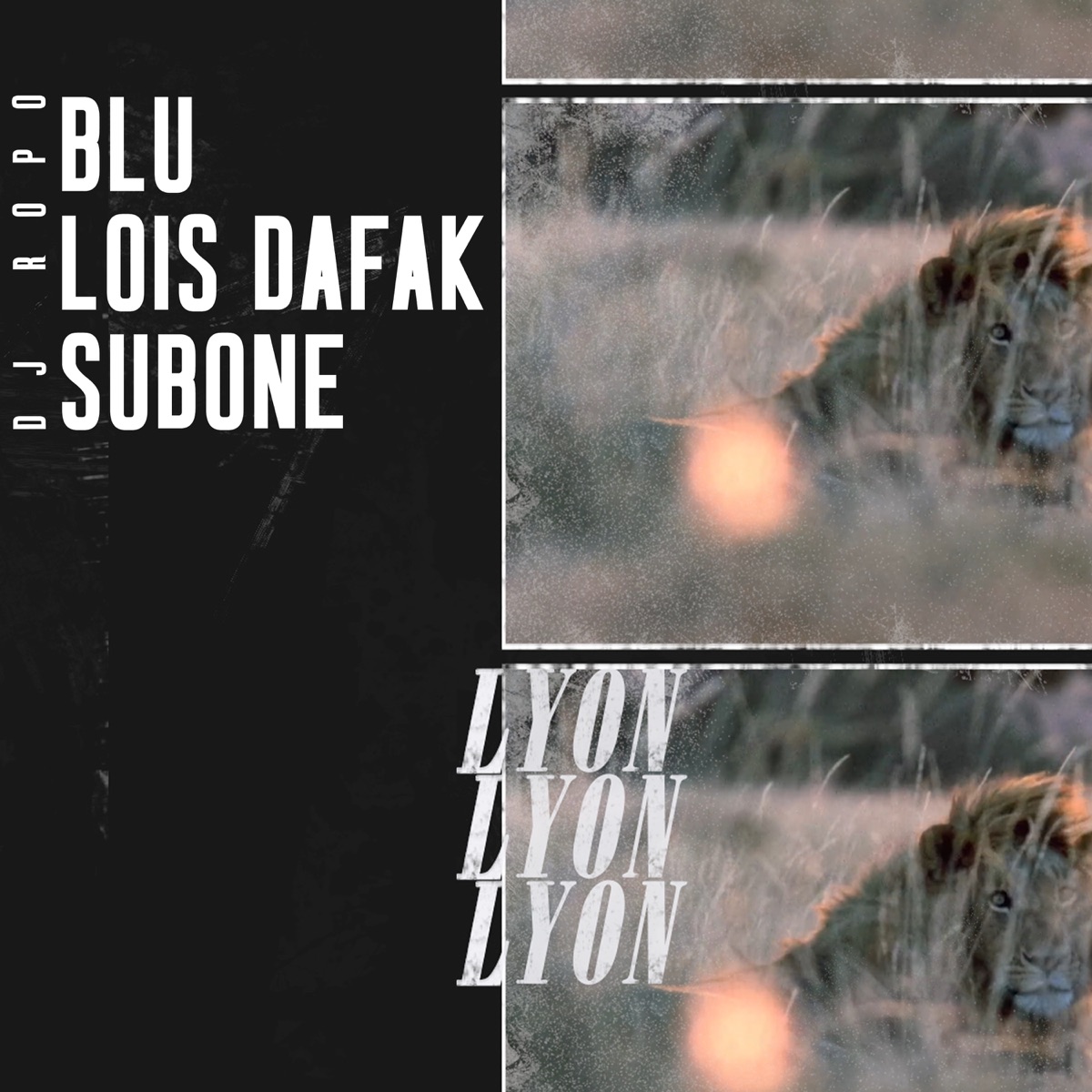 Lyon (feat. Dj Ropo) - Single by Lois Dafak, BLU & Subone album cover