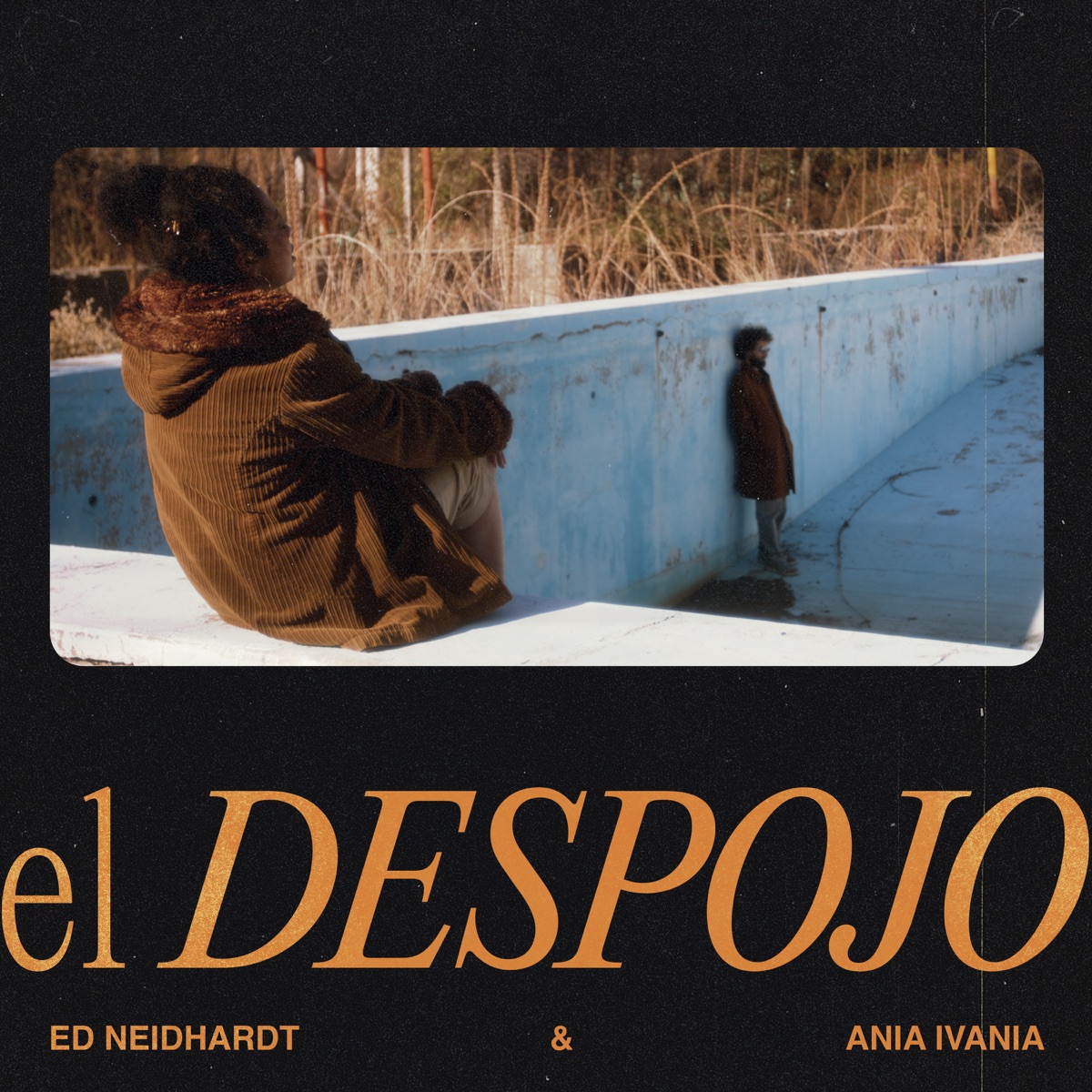 El Despojo - Single by Ed Neidhardt & Ania Ivania album cover