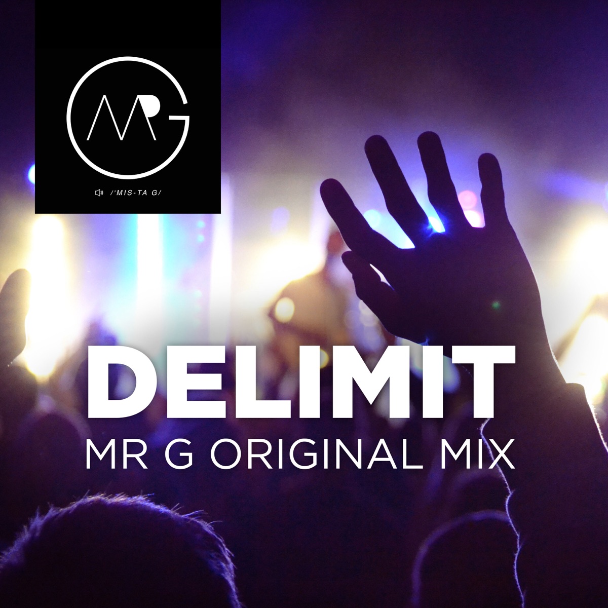 Delimit - Single by MR G album cover