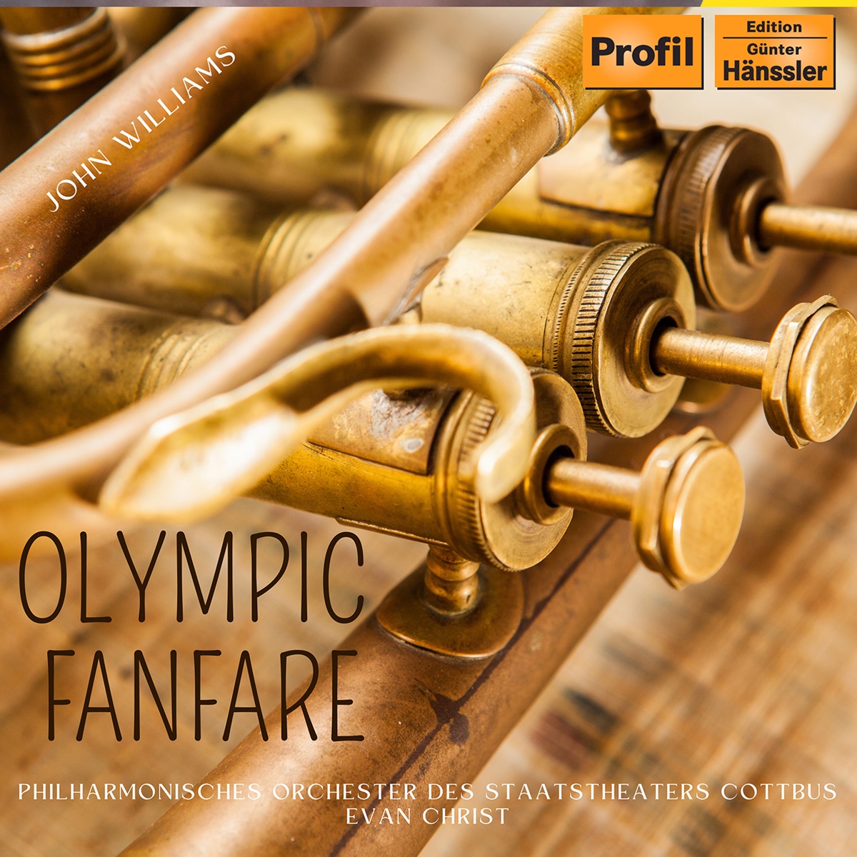 Olympic Fanfare and Theme - Single by Philharmonisches Orchester des Staatstheaters Cottbus & Evan Christ album cover