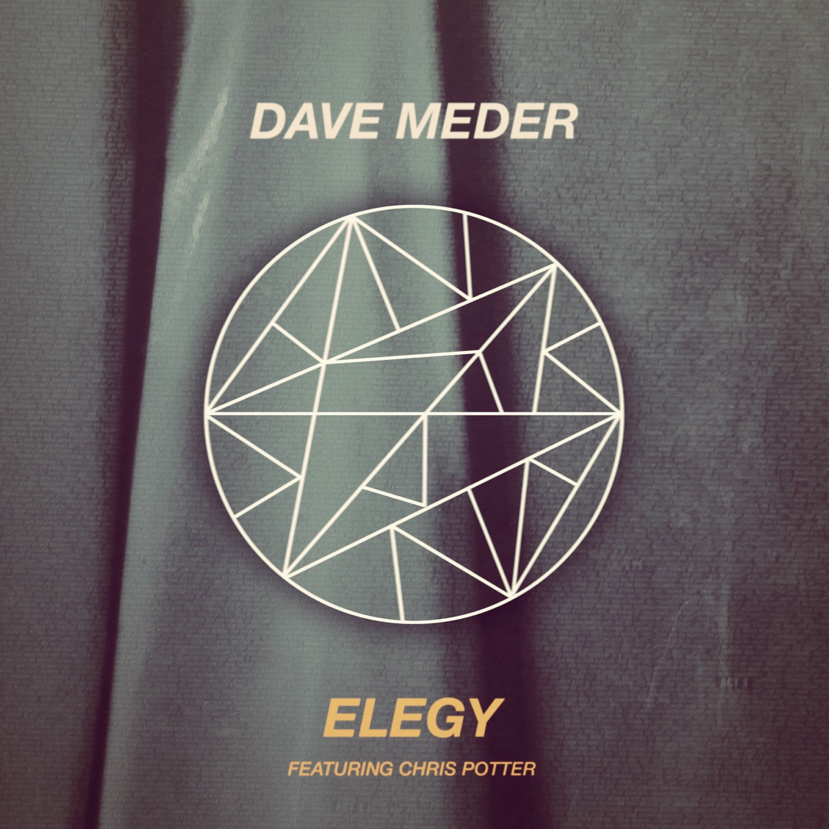 Elegy (feat. Chris Potter, Kush Abadey & Marty Jaffe) - Single by Dave Meder album cover