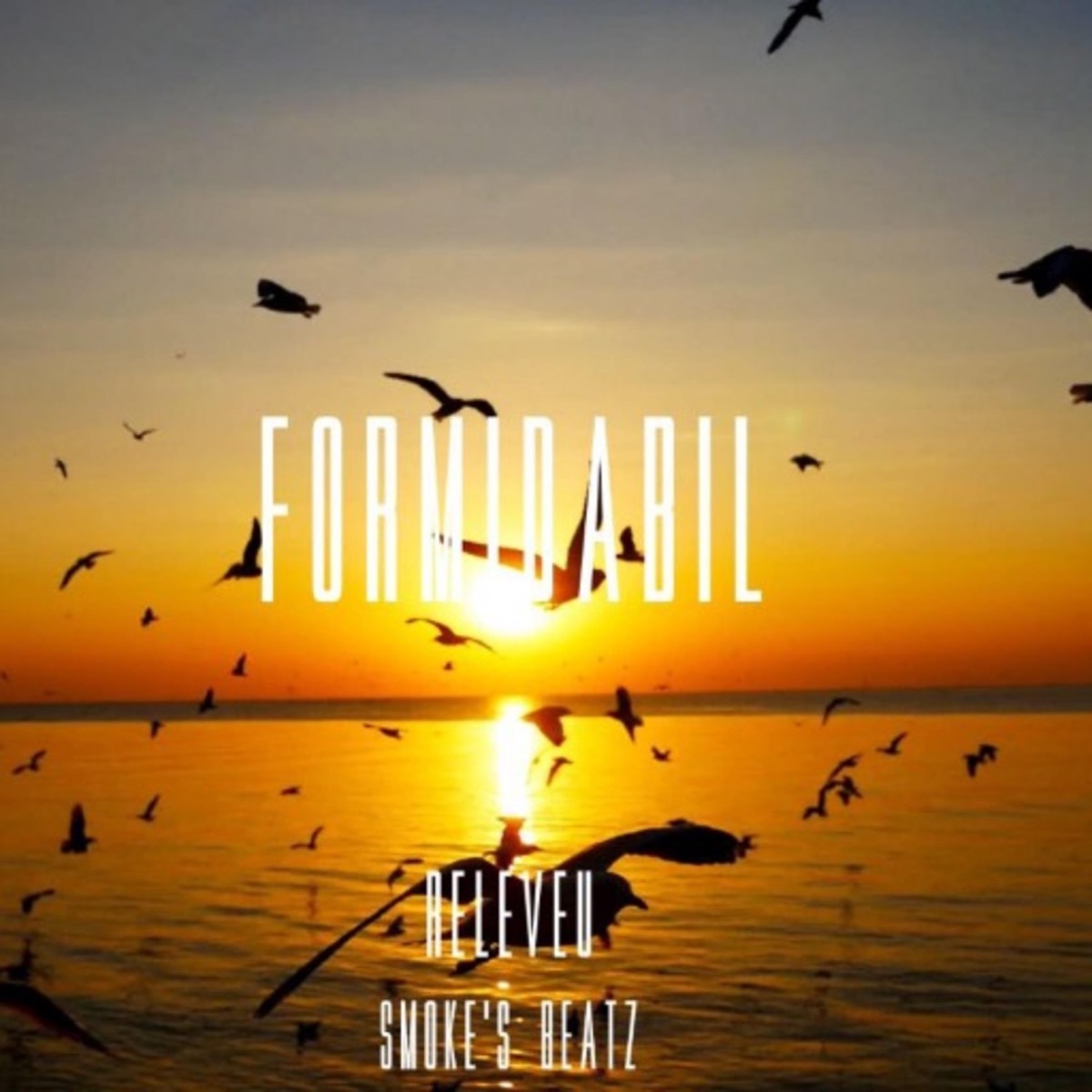 Formidabil - Single by Releveu & Smoke's Beatz album cover