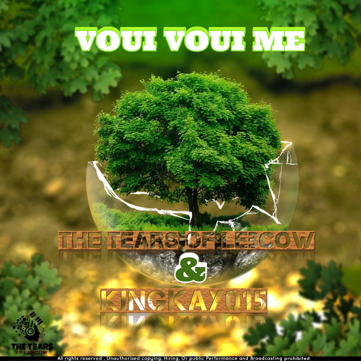 VOUI VOUI ME (feat. KingKay015) - Single by The tears of lebcow album cover