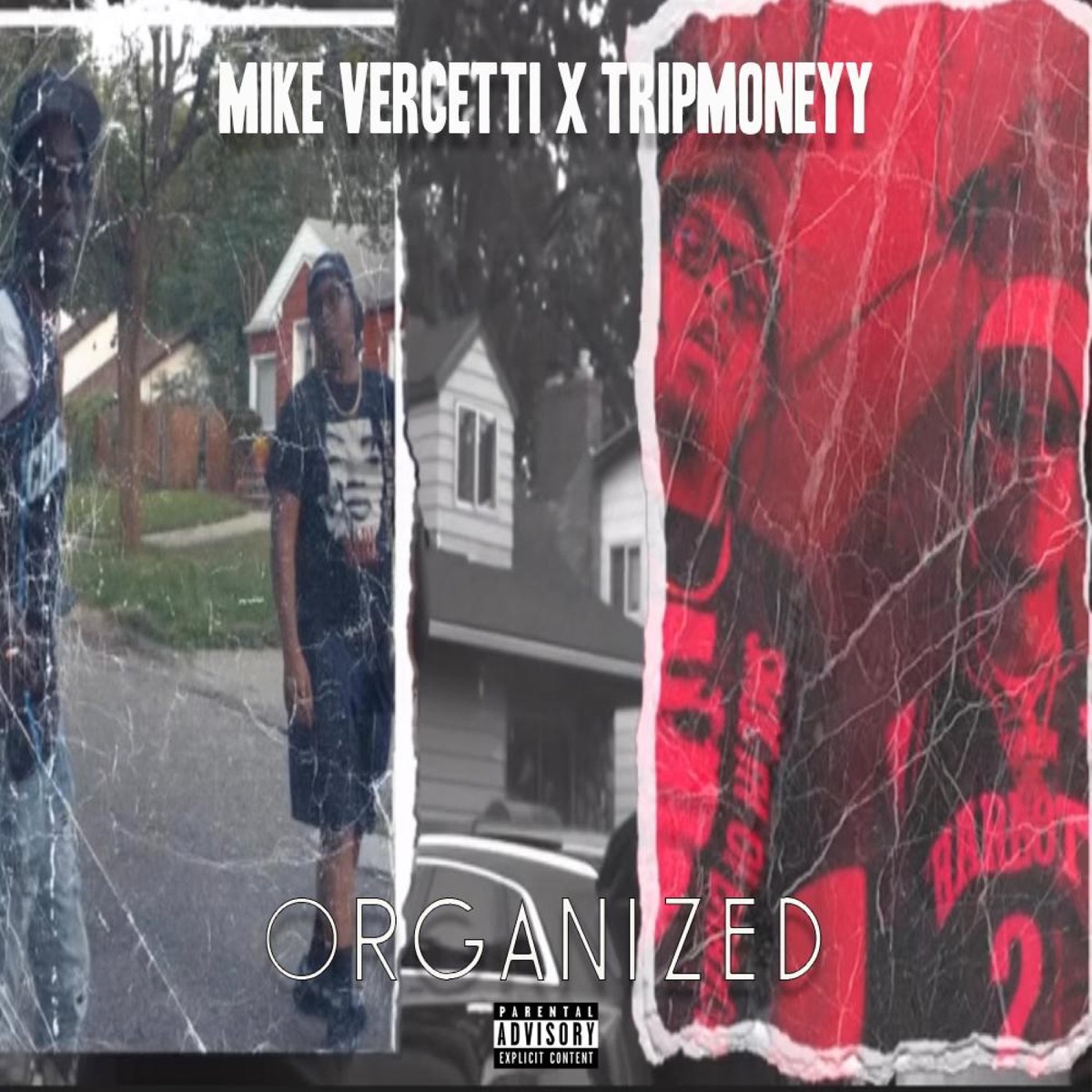 Organized (feat. Tripm0neyy) - Single by Mike Vercetti album cover