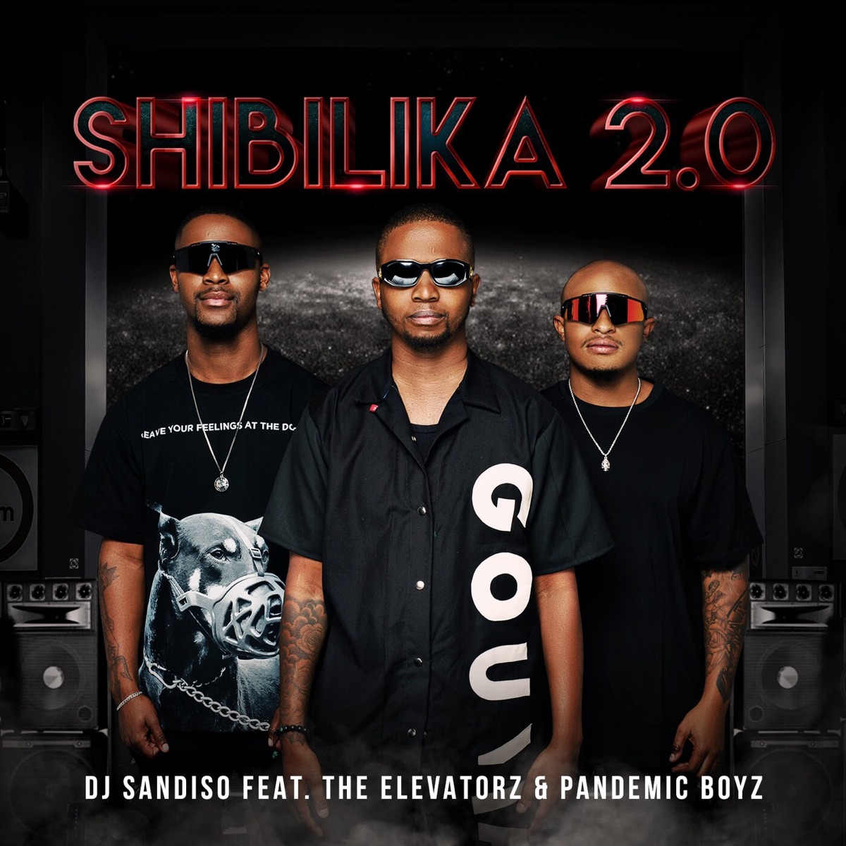 shibilika 2.0 (feat. Pandemic boyz & The Elevatorz) - Single by DJ Sandiso album cover