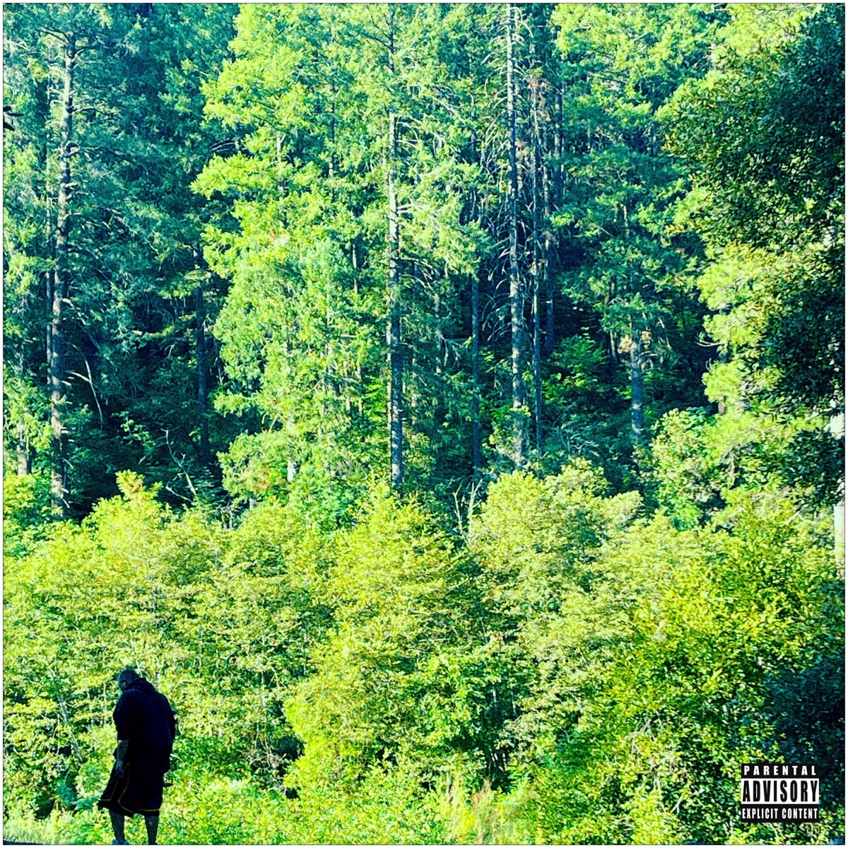 THE GREEN ALBUM by Eizlo album cover