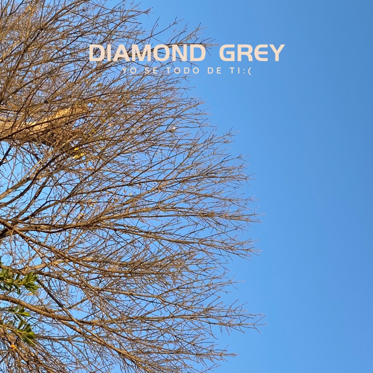 Yo Se Todo De Ti - Single by Diamond Grey album cover